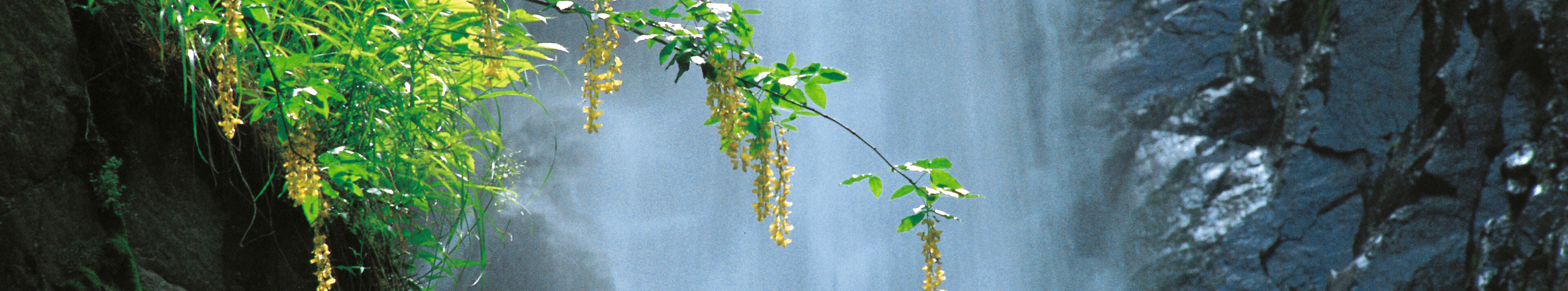 Cascata del Lupo Natura Cascate Trentino